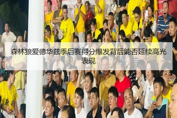 森林狼爱德华兹季后赛得分爆发背后能否延续高光表现