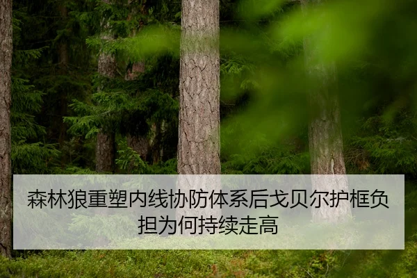 森林狼重塑内线协防体系后戈贝尔护框负担为何持续走高
